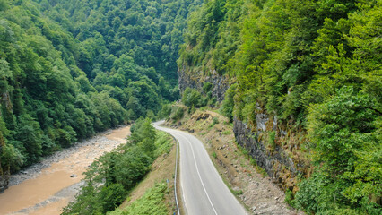 Mountain road through the forest landscape