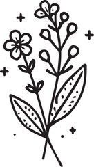 simple flower coloring pages, Coloring pages for kids, hand drawing Lavender flower sketch art, blossom Lavender flower line art vector illustration, floral garden for beautiful Lavender flower