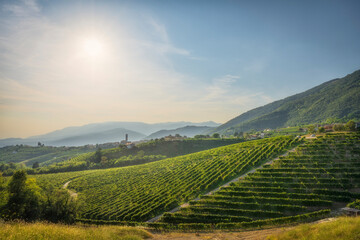 Prosecco Hills, vineyards and San Pietro di Barbozza village. Valdobbiadene, Veneto, Italy