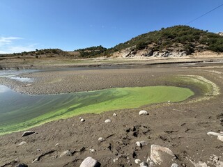 Coral and algae over the sand in the see. Algae are growing excessively. Nitrates and phosphates...