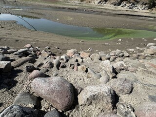 Coral and algae over the sand in the see. Algae are growing excessively. Nitrates and phosphates...