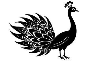 peacock silhouette vector