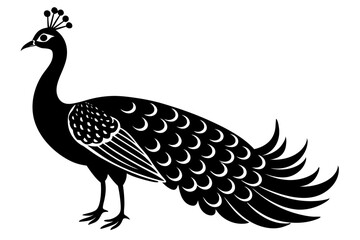 peacock silhouette vector 