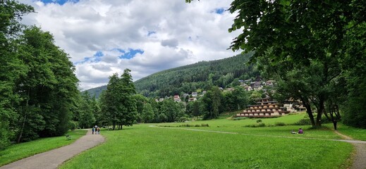 landscape with trees