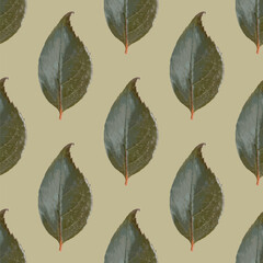 Fototapeta premium Seamless vector pattern of realistic leaves