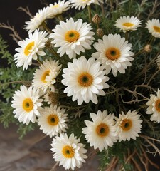 Dried white chrysanthemum flowers arranged in a loose, rustic bouquet with hints of dried greenery and twigs, nature, countryside, landscape