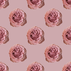 Elegant pink roses seamless vector pattern