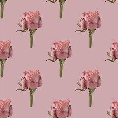 Elegant pink roses seamless vector pattern
