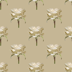 Elegant white roses seamless vector pattern