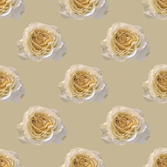Elegant white roses seamless vector pattern