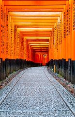 The torii gate covered walking path at Fushimi Inari Taisha temple in Kyoto, Japan. ( Japanese...