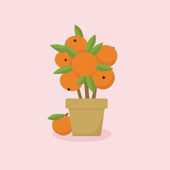 Isolated decorative tangerine, mandarin, clementina tree in a flower pot. Vector illustration.