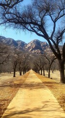 A scenic pathway lined with bare trees leading to mountains in the background.