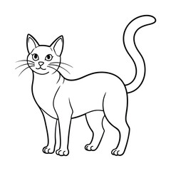 cartoon cat
