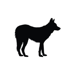 silhouette of a bear