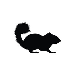 illustration of a squirrel