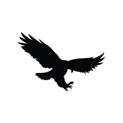 eagle in flight