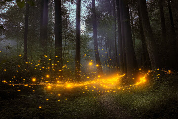 Fototapeta premium Enchanting forest with glowing fireflies at twilight