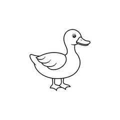 duck isolated on white