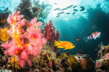 Obraz premium Vibrant coral reef ecosystem with colorful fish and corals