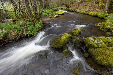 Plateau des Grilloux, Thousand Ponds Plateau (Plateau des Mille etangs), Haute Saone, Bourgogne-Franche-Comte, France