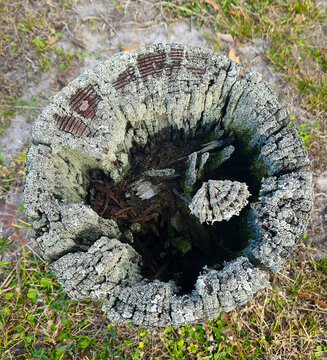 Looking down on a rotting post 