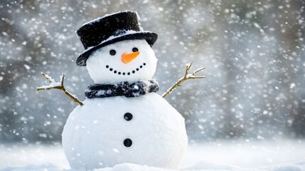 The Charming Snowman in Winter