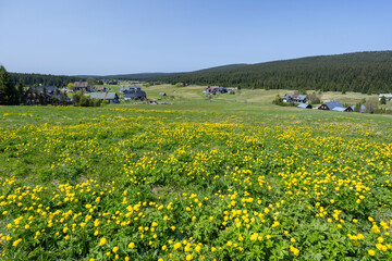 Spring landscape with Jizerka near Korenov, Northern Bohemia, Czech Republic