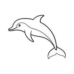 dolphin illustration