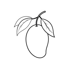 pear fruit vector illustration