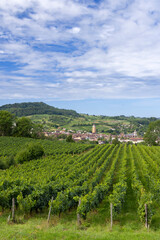 Naklejka premium Vineyards with Arbois town, Department Jura, Franche-Comte, France