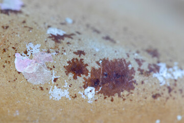 Natural stone texture, background wallpaper. Macro photo detail.
