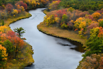 A serene river winding through vibrant autumn foliage.
