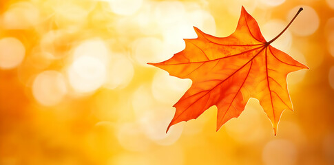 Fototapeta premium A vibrant autumn leaf against a warm, blurred background, evoking seasonal change.