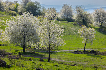 Typical landscape in Stiavnicke vrchy on Krupinska planina, Slovakia