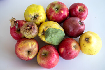 Winter fruits isolated in white background, apple, pomegranate, quince.