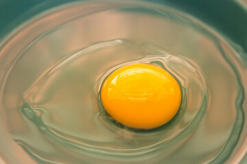 Um ovo cru dentro de um prato verde.