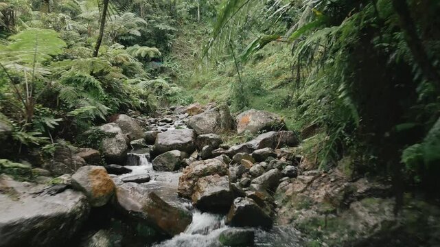 Fast Fly Through Stones and River