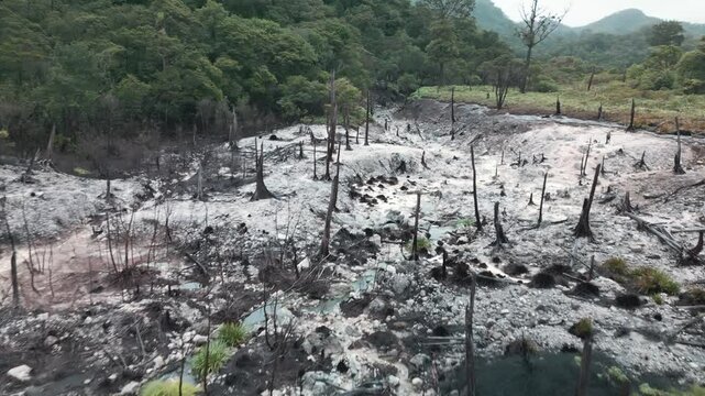Sulfur Wasteland Dead Trees