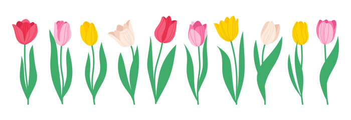 Set of spring flowers tulips. Multicolored tulips. Vector simple hand drawn illustration in doodle style isolated on white