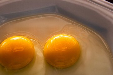 Close up em dois ovos crus dentro de um prato de louça branco.