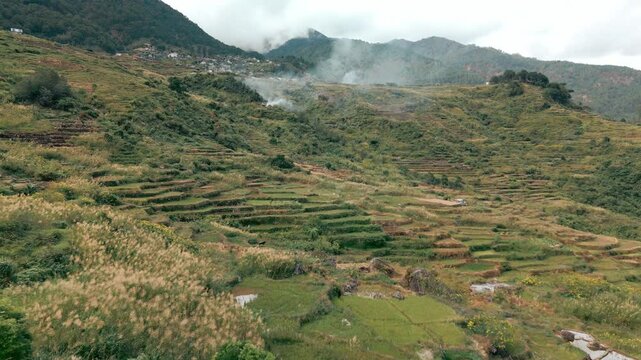 Rice Fields Philippines Drone Push In