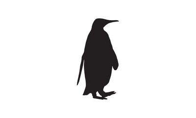 crow on a white background