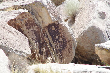 Petrified Forest National Park
