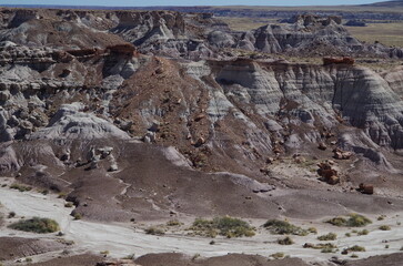 Petrified Forest National Park