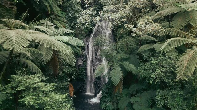 Hidden Waterfalls Fast Zoom In Jib Down