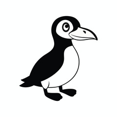 A auk cartoon vector illustration