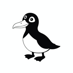 A auk cartoon vector illustration