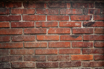 Ancient Wall Texture with Red Brick