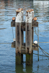 Floating ponton on river
